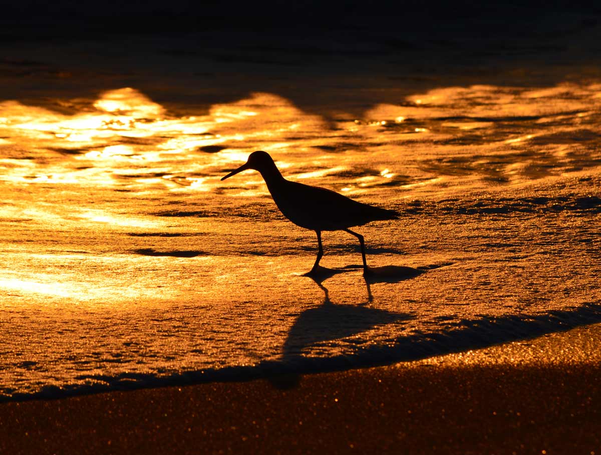 Kure Beach Agape Kure Beach